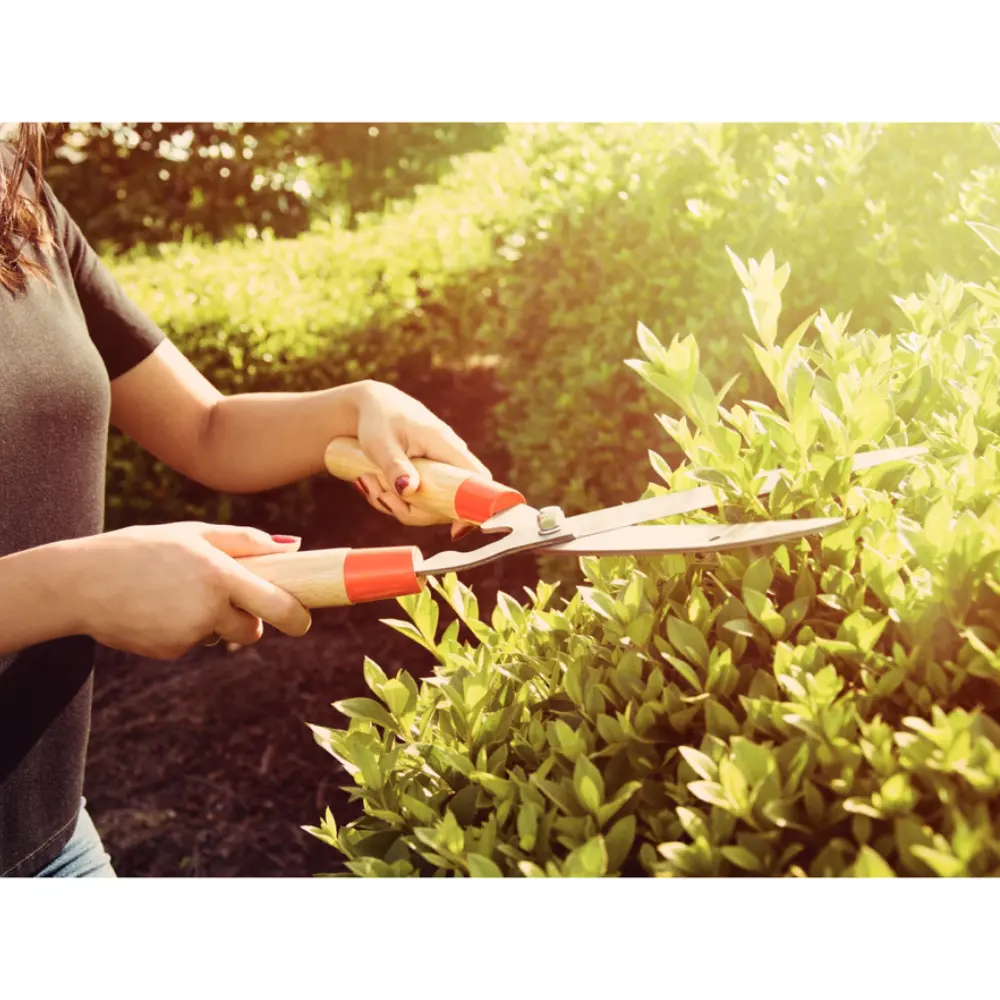 2424-3604-tramontina-hedge-shear-78342125-2.webp